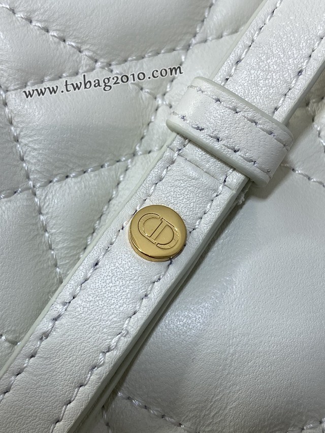 Dior专柜新款迪奥高仿原单白色Caro秋冬系列小号双肩包 djfk1251